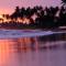 Turtle Eco Beach