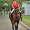 APM Equestrian Resort - Tangerang
