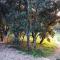 Les Terrasses - Gordes