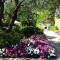 IRIS 1 lago di Como - 东戈