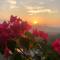 Beauty Hills