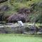 Salamander Bay Bed and Breakfast Salamander Bay Bed and Breakfast