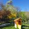 Pension Bran Ioana& SPA