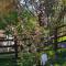 Pension Bran Ioana& SPA - 布朗