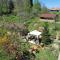 Pension Bran Ioana& SPA