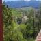 Pension Bran Ioana& SPA