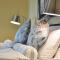 Alte Villa Boutique Hotel