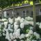 B&B Greenhouse 37