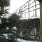 B&B Greenhouse 37