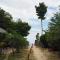 Bluesky Beach Bungalows