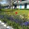 Camping Casuta Mihaela