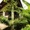 Bali Dream House - Amed