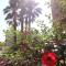 Best View - Welcome Penthouse Apartamentos Karola