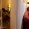 Hostel Toulouse Wilson - 图卢兹
