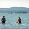 BALATON ART Apartman