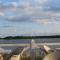 Seeblick III