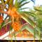 Arcadia Phu Quoc Resort
