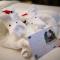 Hampton By Hilton Foshan Sanshui