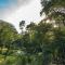 Rest Pause Rainforest Retreat