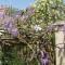 La Petite Vigne