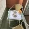 Apartamentos Franch