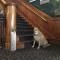 Kalispell Grand Hotel