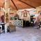 Arabian Oryx Camp