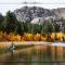 Lake Front Cabins - June Lake