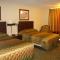 Romana Hotel - Houston Southwest