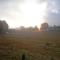 Le Martinou photo 17