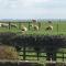 Hall Farm Bed & Breakfast - Terrington