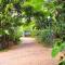Sigiri Rock Side Home Stay