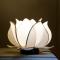 Foto: White Lotus Day Spa 7/37