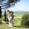 Tuscany Balcony Crete Senesi