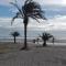 Oliveres III