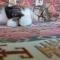 Kilim Hotel