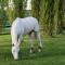 Le domaine de barbizon photo 11