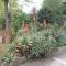 Appartamento Lauretta