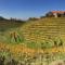Hisa Vina