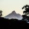 Tropical Coast Retreat - Pet Friendly - Adult only