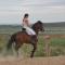 Hotel Palacios