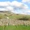 The Rowe House - Horton in Ribblesdale