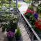 Homestay Izolda