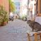 Il Leopardo Trastevere