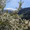 BnB Claudy et Elizabeth Michellod-Dutheil