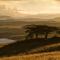 Three Tree Hill Lodge