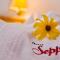 Hotel Seppi