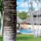 Hotel Guanacaste Lodge - Playa Flamingo