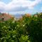 Studio apartment Luzia