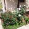 Τhe Roses House